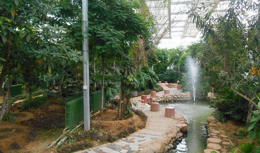 Ботанический сад «Дифа»